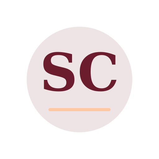 Schmidt Chimney Repair logo